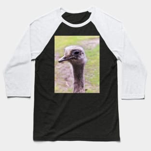 Closeup portrait of common ostrich Baseball T-Shirt